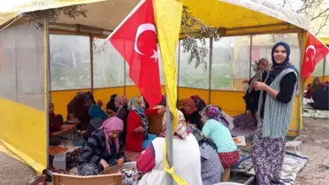 Afrin'deki Mehmetçiğe Yöresel Yemekler Gönderdiler