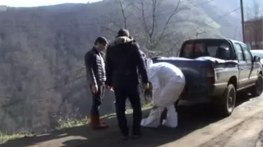 Kesilerek Eti Dağıtılan Hayvanda Şarbon Çıktı
