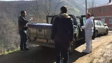Trabzon'da Şarbon Paniği Sürüyor