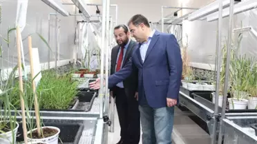 Türkiye'de İlk Hızlı Bitki Islahı Hayata Geçirildi