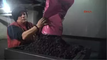 Aydın Sibel Can'dı 'Arap Bacı' Oldu