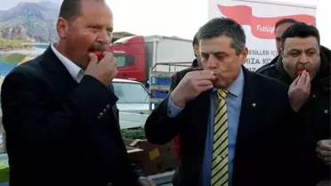 Fethiyeli Çiftçiler 'Hormon' İddialarına Domatesi Yıkamadan Yiyerek Tepki Gösterdi