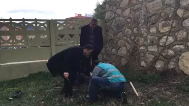 Afyonkarahisar'da Yükümlüler Fidan Dikti
