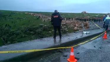 Kamyonet Çaya Uçtu