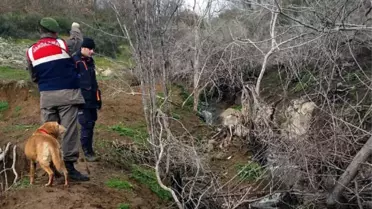 Kayıp Alzheimer Hastası Derede Ölü Olarak Bulundu