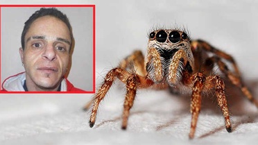 Üvey Oğlunu Örümcek Zannederek Fırlattı, 6 Aylık Bebek Hayatını Kaybetti
