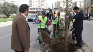 Buca'ya Her Gün 30 Ağaç