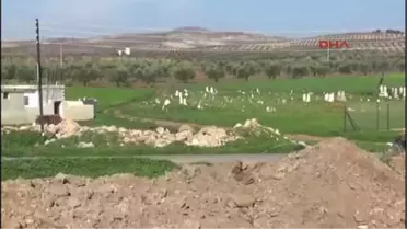 Zeytin Dalı Harekatı