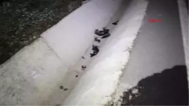 İzmir - 5 Ay Önce İşlenen Cinayette Tutuklu Sayısı 5'e Yükseldi