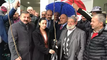 Çarşıbaşın'da Çiftçilere Ceviz ve Hurma Fidanı Dağıtıldı