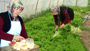 Eşine İnat Lokanta Açan Yaşlı Kadın, Şimdi 5 Kişiye İş İmkanı Sağlıyor