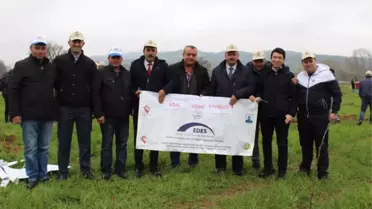Yenice'de Öğrenciler Fidan Dikti