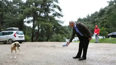Gönüllü Eller Can Dostlara Uzandı