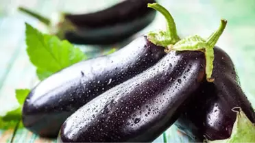 Tek Bir Patlıcan Çalmakla Suçlandı, 9 Yıl Süren Mücadelesi Sonunda Aklandı