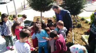 Minik Eller Fidan Dikti