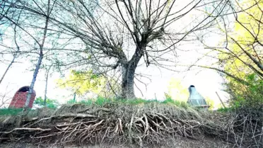Lise Öğrencileri Fotoğraf Yarışmasına Katıldı