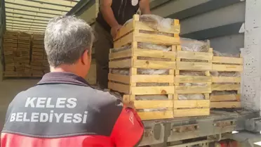 Keles Belediye Başkanı Teke: Çiftçilerimizin Yanındayız…