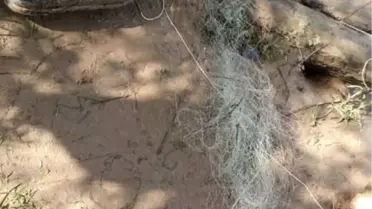 Osmaneli 'De Kaçak Avlanan 3 Balıkçıya Para Cezası