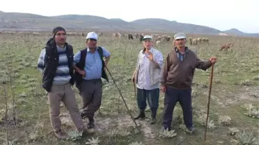 Kütahyalı Çobanlar Eşlerine Sigorta Desteği İstiyor