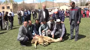 Sivas İlkokul Öğrencileriyle Yağmur Duasına Çıktılar