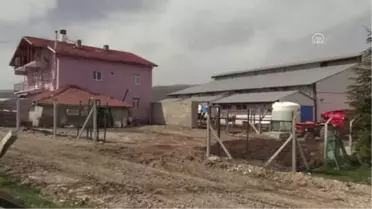 Şehir Hayatını Bırakıp Köyünde Hayvancılık Yapıyor