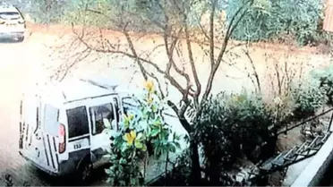 Olgunlaşmamış Erik Detayı Cinsel İstismar İftirasını Çürüttü