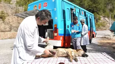 Mobil Kısırlaştırma Aracı Kırsalın Hizmetinde