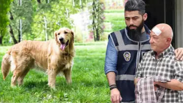 Havlayan Köpeğin Sahibini Öldüren Yaşlı Adama, İstenen Müebbet Hapis İndirildi