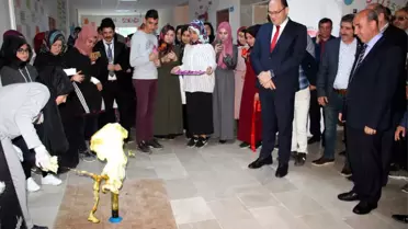 Suşehri'nde Tübitak 4006 Bilim Fuarı Açıldı