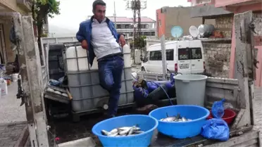 Gercüş'te Seyyar Satıcıdan Orijinal Fikir