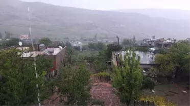 Eruh'ta Şiddetli Yağış Ekinlere Zarar Verdi