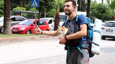 Göğsündeki Kedisiyle Otostop Çekip Türkiye'yi Dolaşıyor