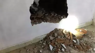 Asansör Boşluğuna Düşen Kedi, Duvar Kırılarak Kurtarıldı