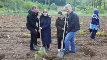 Gürsu'da İpek Böceği Yetiştirilecek