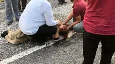 Kaplumbağayı Kurtarırken Otomobil Çarptı