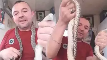 Yakaladığı Yılanla Sosyal Medyada Canlı Yayın Yaptı