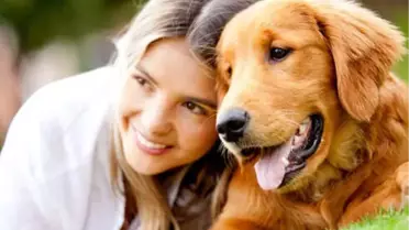 Köpeğinizi Sakinleştirmek İçin 8 Doğal Yöntem