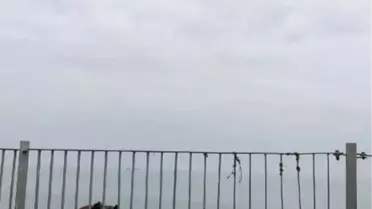 Büyükada 'Fayton Parkı'nda Narkotik Operasyonu