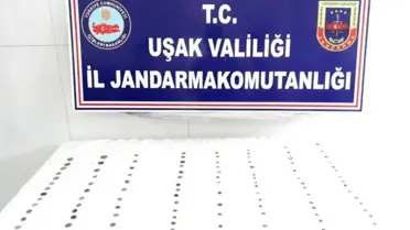 Uşak'ta Tarihi Eser Operasyonu