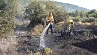 Çanakkale'de Makilik Yangını