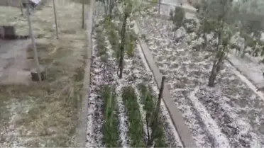 Osmaniye'de Misket Büyüklüğündeki Dolu Ekili Alanlara Zarar Verdi