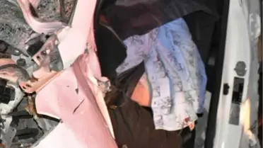 Ağaca Çarpan Otomobilin Sürücüsü Öldü
