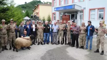 Karadeniz'de Öldürülen 2 PKK'lı Terörist Önce Fotokapana Yakalanmış (3)