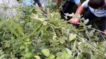 Çiftçi, Traktörle Düştüğü Irmakta Yaşamını Yitirdi