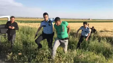 Cezaevi Firarisi Buğday Tarlasında Yakalandı