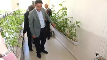Çaldıranlı Öğrencilerden 'Topraksız Tarım' Projesi