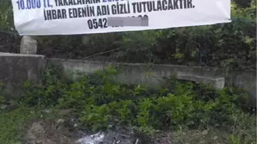 Hırsızı Yakalatana 20 Bin TL Verecek
