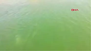 Malatya Serinlemek İçin Girdiği Baraj Gölünde Boğuldu