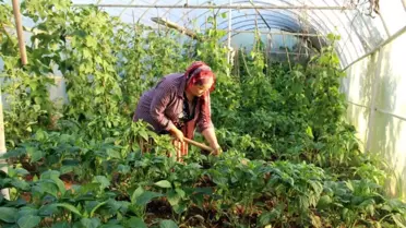 Pazarcı Safiye; Milletvekilliği İçin Bağımsız Aday Oldu