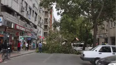 İzmir'deki Şiddetli Rüzgar Pazar Tezgahlarını Yıktı (2)